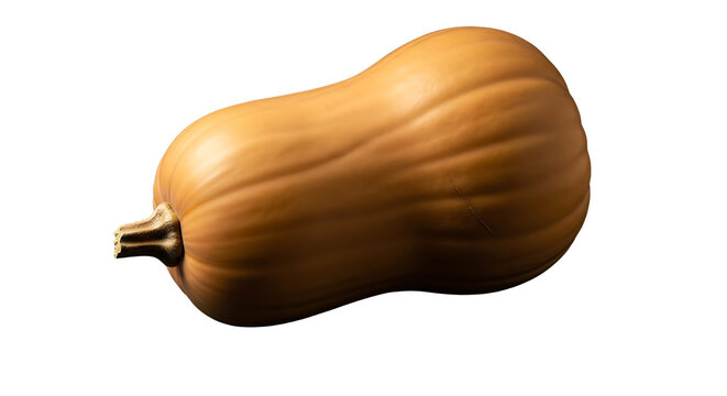Isolated brown squash vegetable on plain background isolated on transparent background