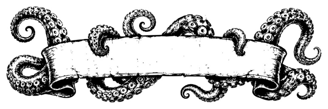 blank pirate scroll banner with octopus tentacles for nautical adventure treasure label vintage maritime fantasy and sea monster design concept