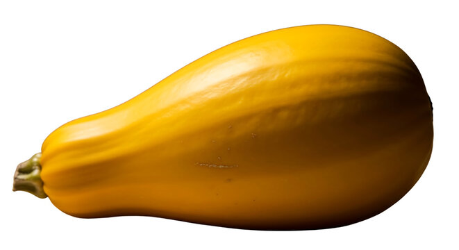 Bright yellow squash isolated on plain background isolated on transparent background
