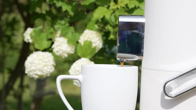 A white coffee machine fills a mug outdoors beside blooming snowball viburnum. The garden scene feels calm, bright, and fresh.