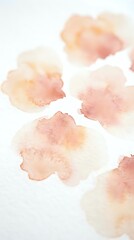 Fototapeta premium Soft watercolor stains in warm peach and coral tones on white paper texture for artistic backgrounds and creative projects.