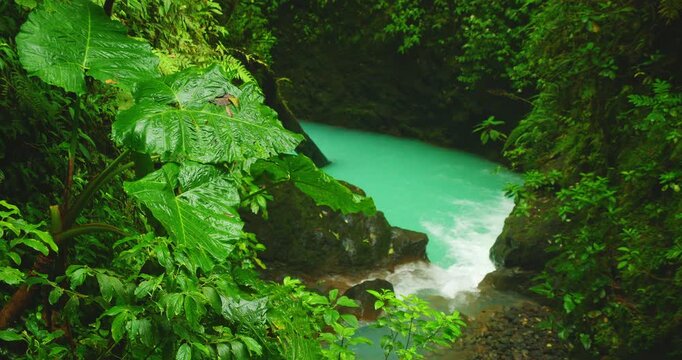 Turquoise rainforest river flowing in Costa Rica surrounded by lush tropical plants during wet season