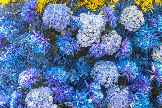 Vista superior de un arreglo denso de hortensias y crisantemos en tonos azules y morados