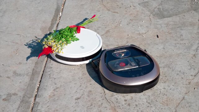 Robot vacuum cleaner carrying floral bouquet of chamomile with red ribbon on concrete pavement next to second cleaning gadget, they spin merrily, as if in a dance