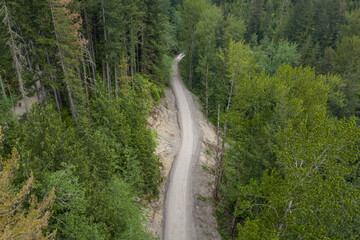 Fototapeta premium Winding Dirt Road Through Lush Evergreen Forest in British Columbia Canada Remote Landscape