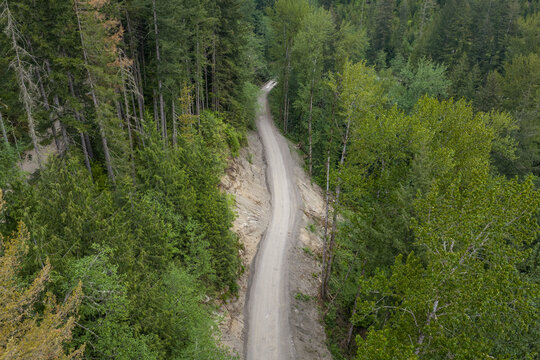 Winding Dirt Road Through Lush Evergreen Forest in British Columbia Canada Remote Landscape