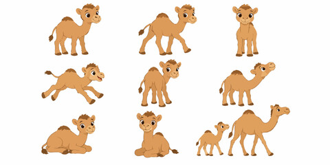 Fototapeta premium Several camels are standing and sitting in a group on sandy terrain in a desert landscape with sunny weather.