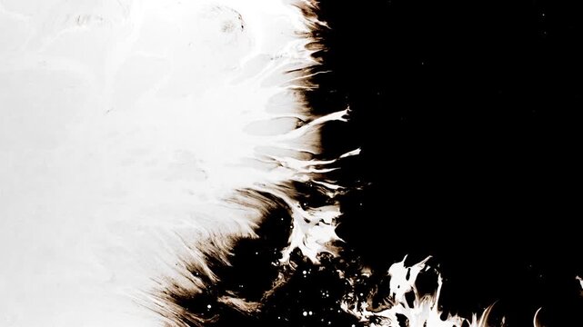 Organic Ink Edge Diffusion Motion