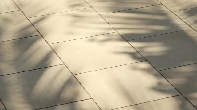 Palm tree shadow moving on poolside floor