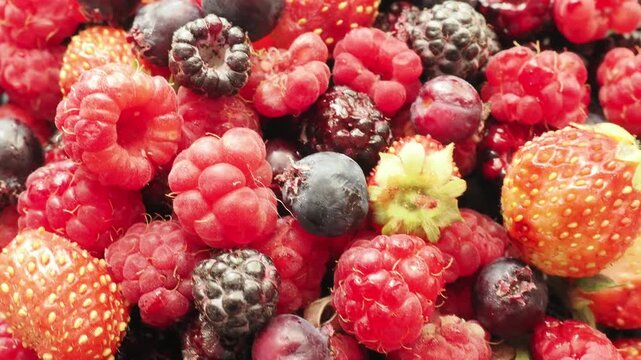 Various fresh summer berries backgrounds. Strawberry, blueberry, raspberry red currant and blackberry mix. Top view, flat lay.