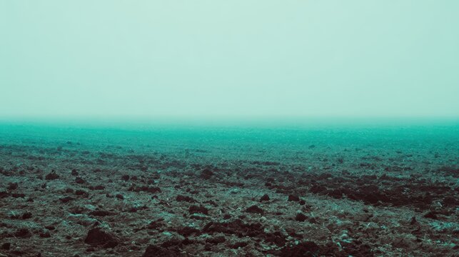 Ethereal Landscape: A desolate, textured ground stretches towards a hazy, tranquil horizon under a pale, aqua sky.