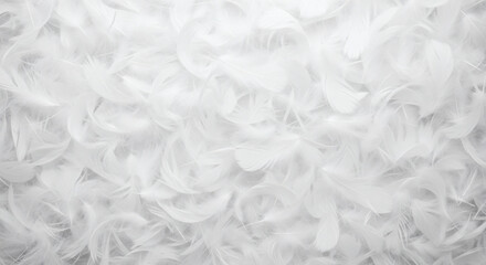 Fototapeta premium Soft white feathers create a delicate fluffy texture background ideal for themes of lightness purity and gentle softness in any design project