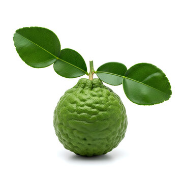 Fresh green kaffir lime fruit with leaves isolated on white background.