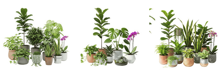 Fototapeta premium Assorted green potted houseplants home garden collection isolated transparent background interior decoration png