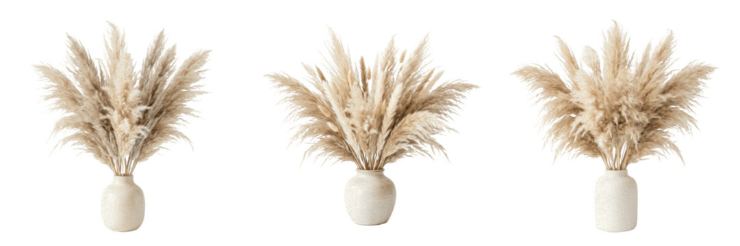 Fluffy dried pampas grass bouquet in ceramic vase isolated transparent background boho decor png