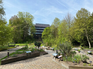 Fototapeta premium The Botanical Garden of the University of Zurich, Switzerland or Botanischer Garten der Universität Zürich (Botanischer Garten der Universitat Zurich - Botanischer Garten der Universitaet Zuerich)
