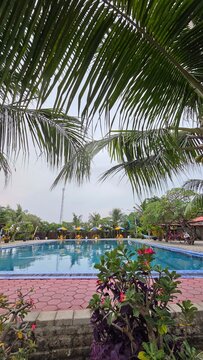 swimming pool in tropical resort
