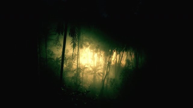 Rain In The Forest 03