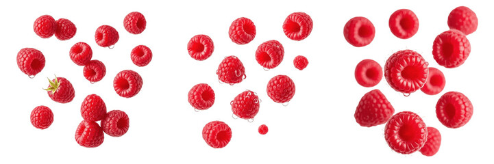Scattered fresh red raspberries isolated transparent background png set organic summer berry fruit stock photography © Julian