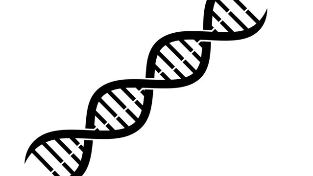 Black and White DNA Strand Illustration