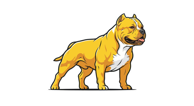 Muscular American Bully Dog, Golden Yellow, Isolated on White Background