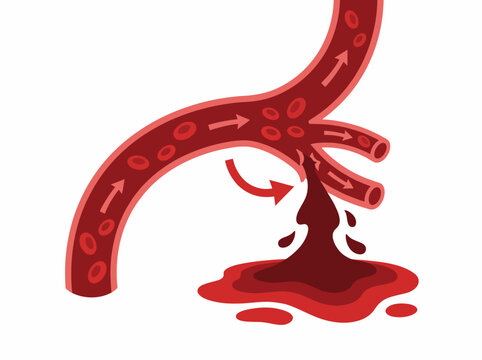 This illustration depicts blood flowing within vessels, showcasing the circulatory system's complexity and its essential role in human health.