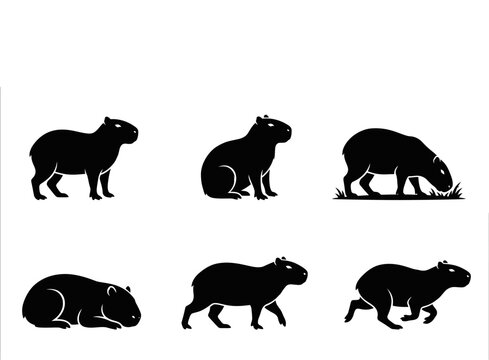 Various Capybara Silhouette Poses including Sleeping and Walking