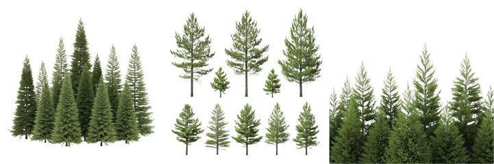 Collection of Realistic Pine Trees and Coniferous Forest Backgrounds Isolated on White Background, High-Quality Evergreen Tree PNG Assets for Landscape Design, Architectural Visualization, and Nature  © nova