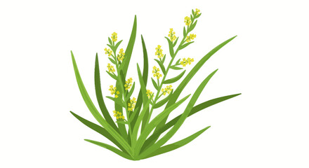 Fototapeta premium Delicate Yellow Wildflowers Blooming in Lush Green Grass