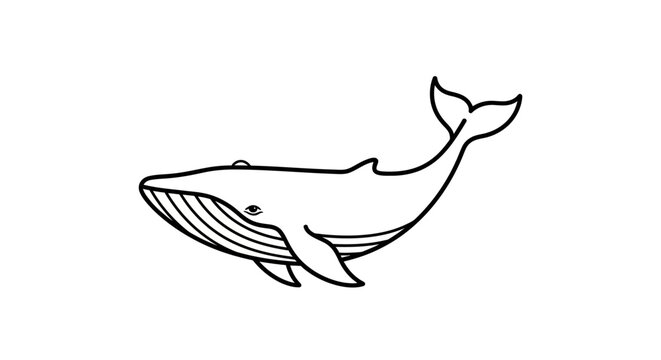 Simple black and white line art illustration of a whale, marine animal drawing, ocean creature outline icon, minimalist sea life vector.