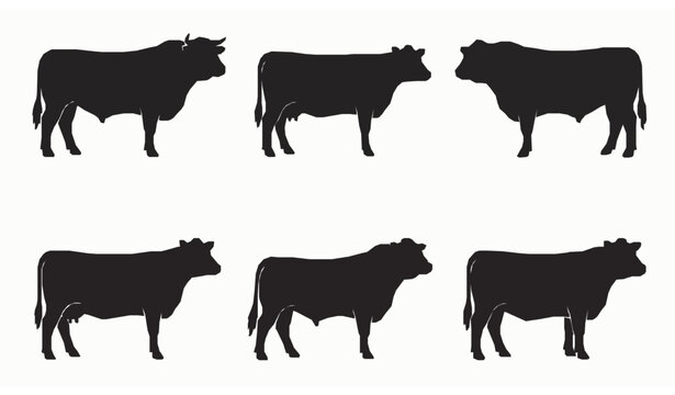 Black Beef Livestock Silhouettes Vector Set with Cow and Bull Farm Animal Shapes