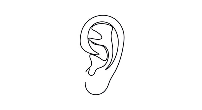 Minimalist single line drawing of a human ear on white background