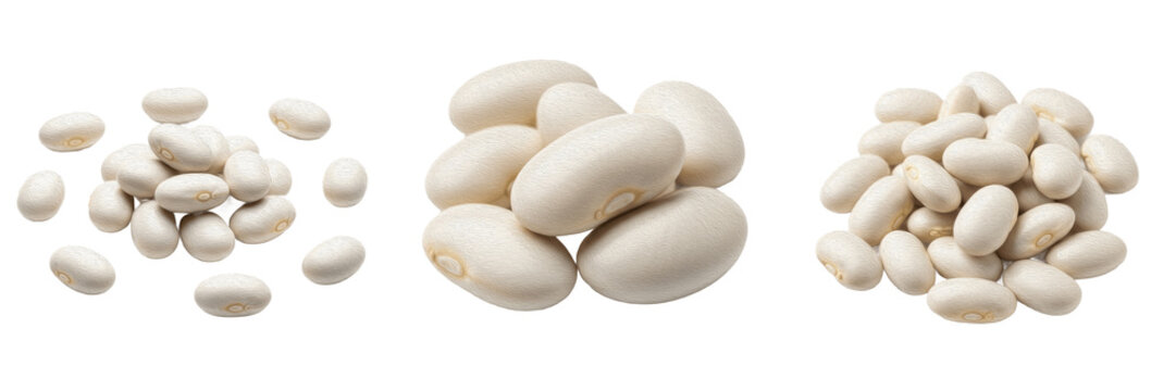 White butter beans heap raw organic lima beans healthy vegan legume protein cooking