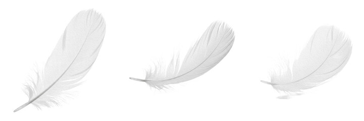 Set of Soft White Feathers PNG Transparent Background Isolated Decorative Elements © laskhar