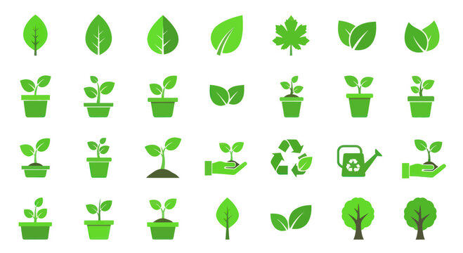 Growing Tree Icons-Bilder: Stock-Fotos & -Videos. | Adobe Stock