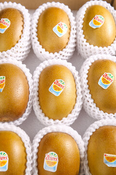 Fresh New Zealand Kiwi Fruits with Zespri Labels in Protective Packaging