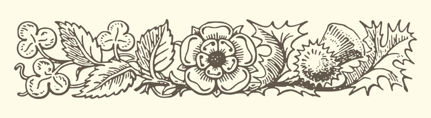 Floral and leaf border design with line art nouveau art deco botanical decoration ornament illustration ornamental decorative artistic embellishment traditional stylized simplicity © bbilfunk