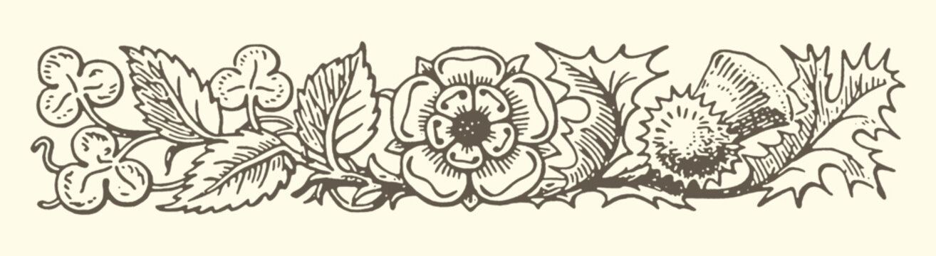 Floral and leaf border design with line art nouveau art deco botanical decoration ornament illustration ornamental decorative artistic embellishment traditional stylized simplicity