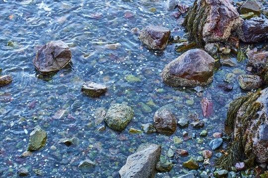Colorful rocks in a tide pool