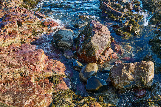 Colorful rocks in a tide pool