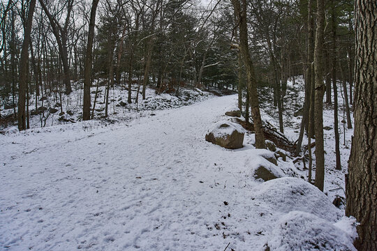 A snow covered path in a forest