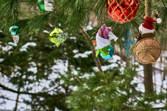 Christmas decorations and ornaments on an outdoor Christmas tree