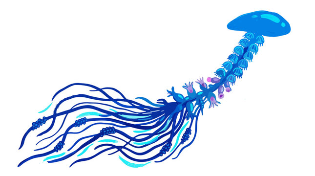 long bioluminescent siphonophore colony in deep sea vector illustration