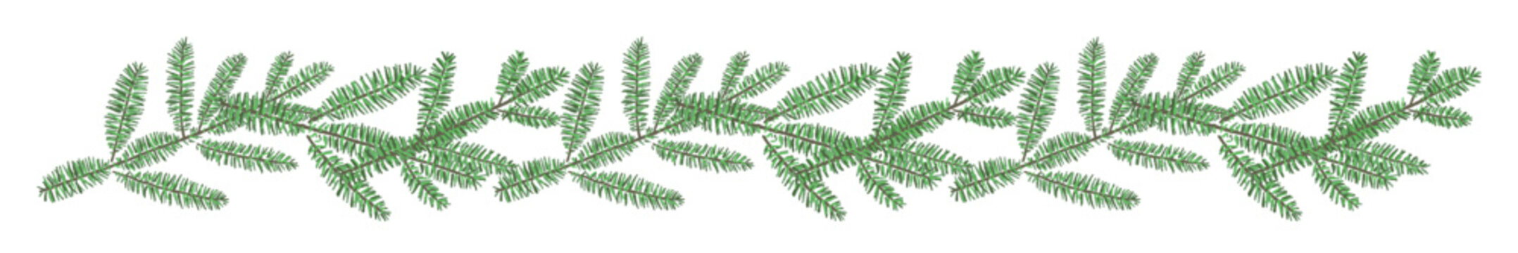 Fir tree branch line decoration element for Christmas design transparent background 2