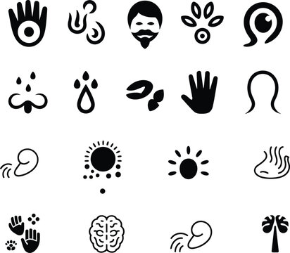 Collection of human senses and perception icons with brain icon eye icon nose icon ear icon