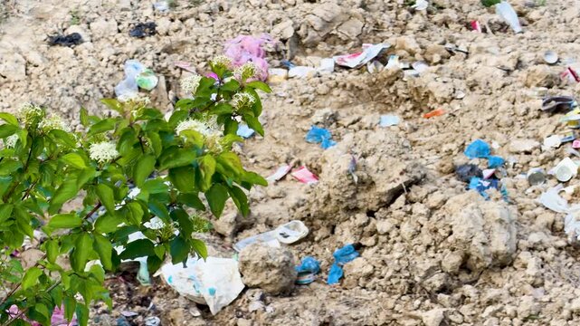 Plastic Waste and Garbage Scattered Across a Landfill in Piedmont Italy