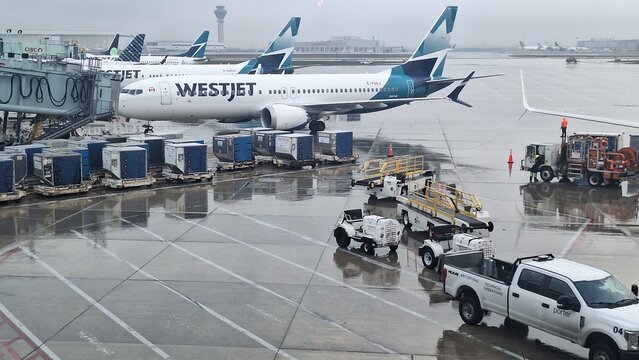 Westjet planes parked at Toronto Pearson International Airport terminal.
