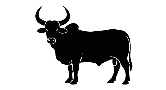 Black silhouette of a zebu bull with large horns on a white background