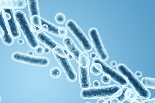 Gram-negative rod-shaped bacteria, Enterobacteriaceae family, intestinal microorganisms. 3D rendering illustration