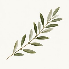 Fototapeta premium Elegant Green Olive Branch Isolated on Soft Beige Background, Perfect for Natural Decor, Organic Style, Brand Identity, and Art Use in Various Projects